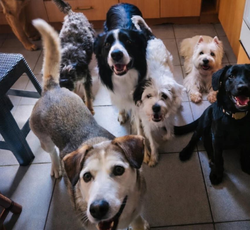 El Patio del Rufián - Momentos