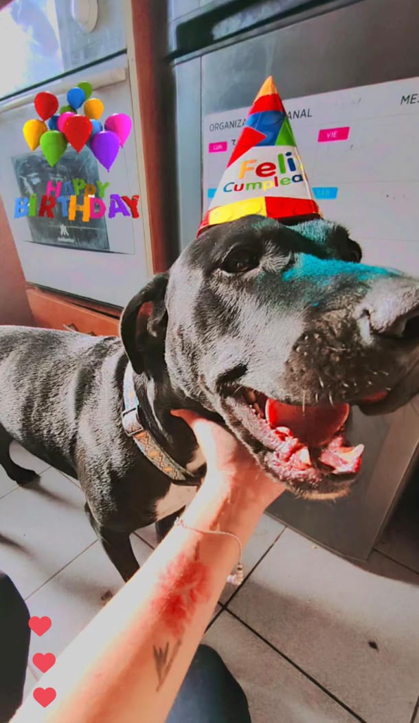 Cumpleaños Perruno