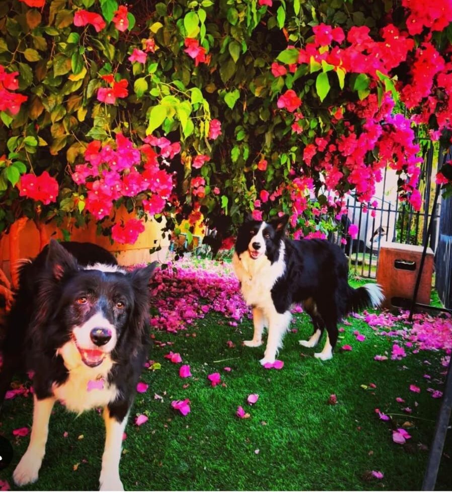 El Patio del Rufián - Equipo